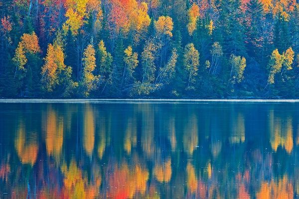 Canada-New Brunswick-Mactaquac Autumn forest reflections on St John River